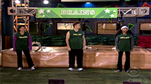 Big Brother 11 Brains